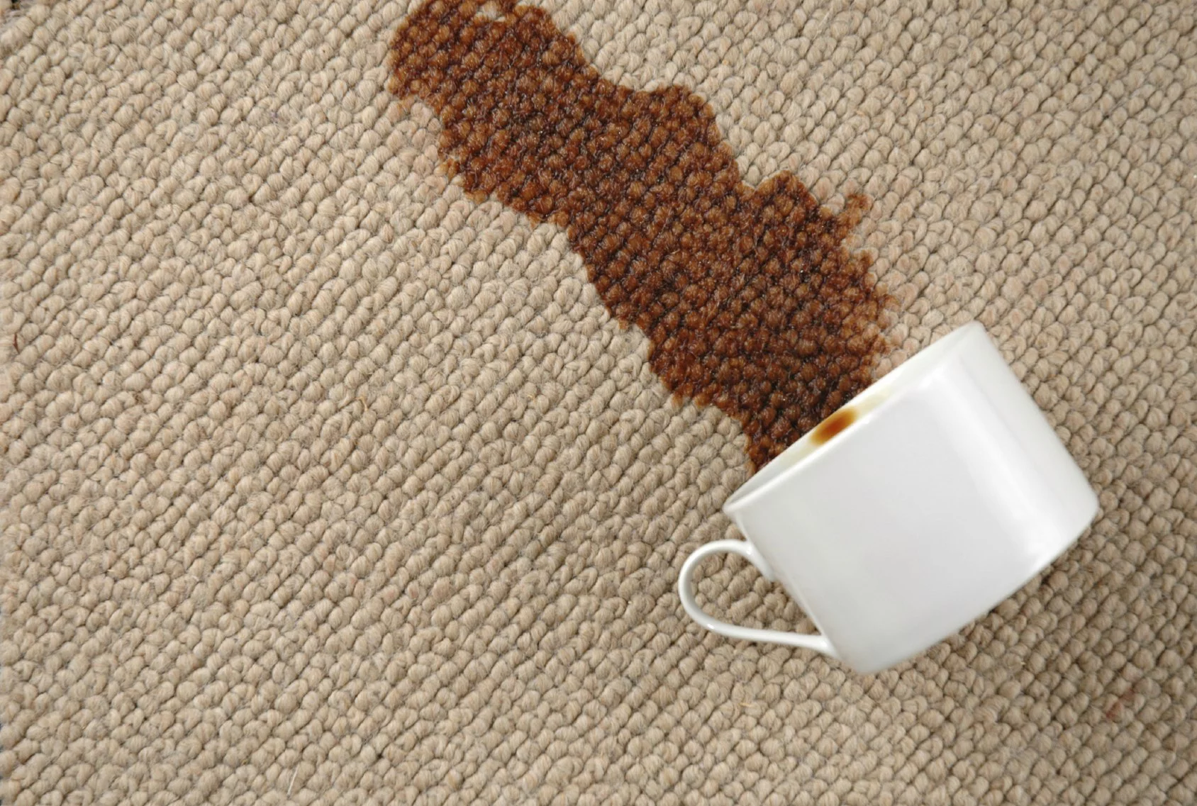 carpet cleaning