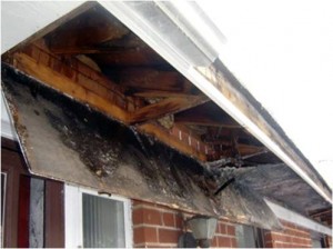 Damage From Gutters