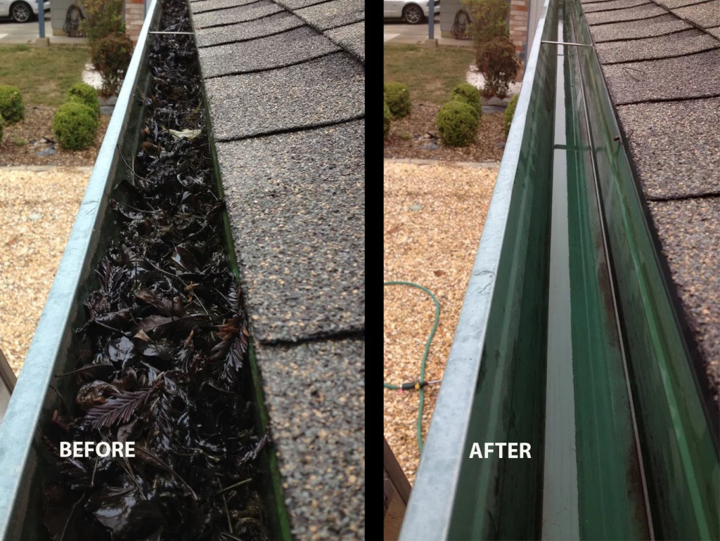 gutter cleaning services