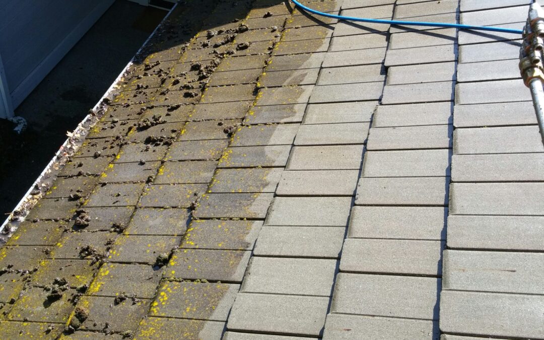 Tile Roof Cleaning In Elk Grove, CA