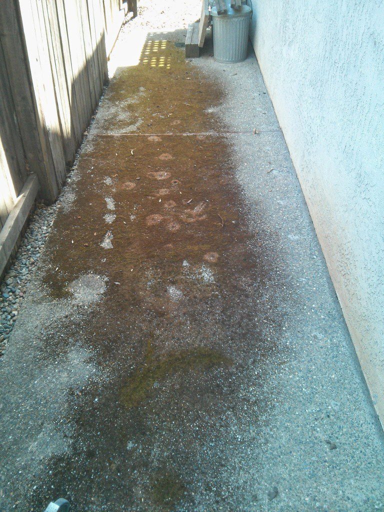 clean moss of concrete in Gold River, CA