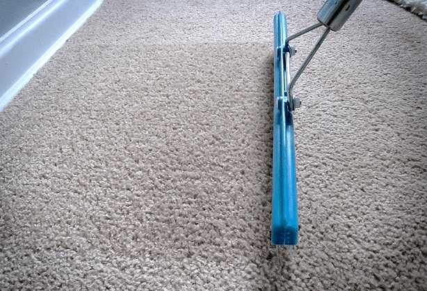 carpet grooming 