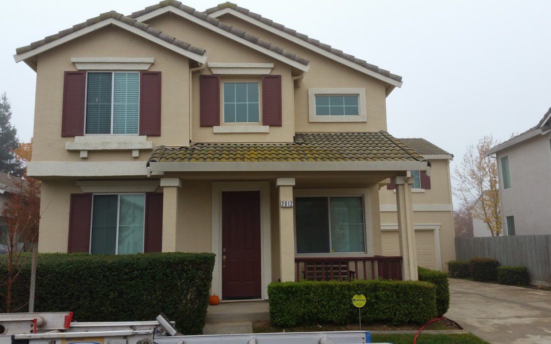 Roof Cleaning Before & After