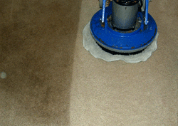orbital carpet cleaning machine