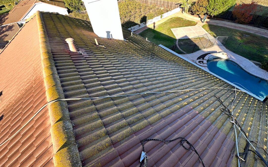 Roof Cleaning in Sacramento, CA